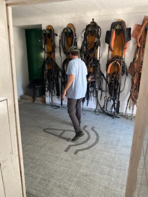 Alfombras personalizadas